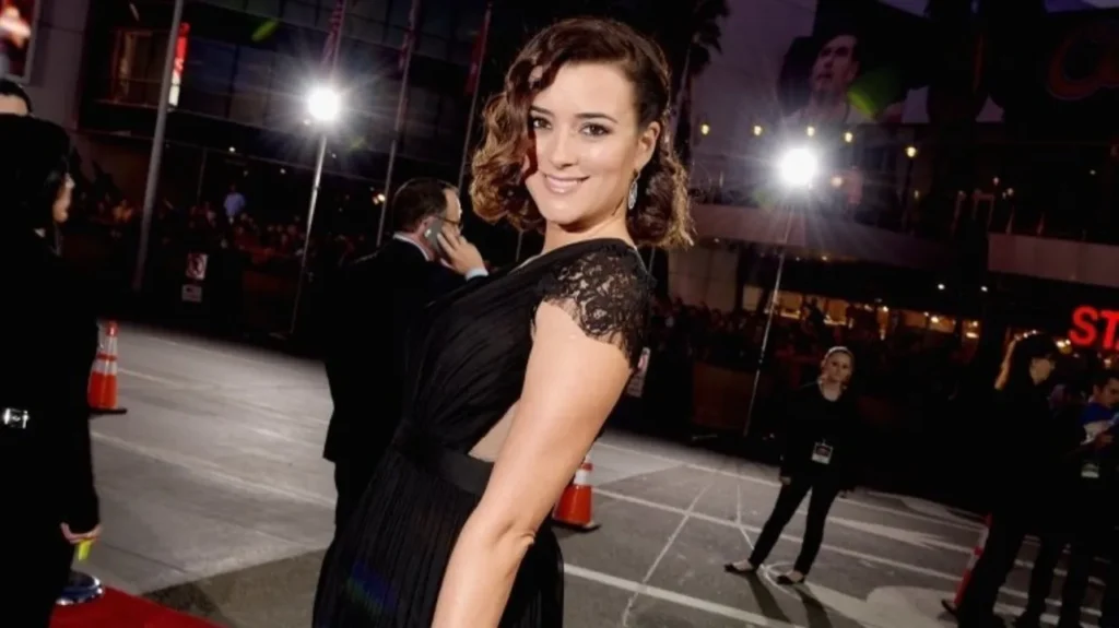 Ziva David: Facts About the NCIS Fan Favorite