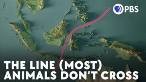 Documentary about the Wallace line